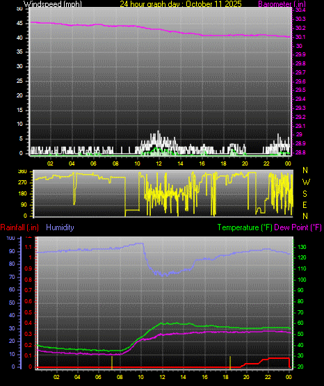 24 Hour Graph for Day 11
