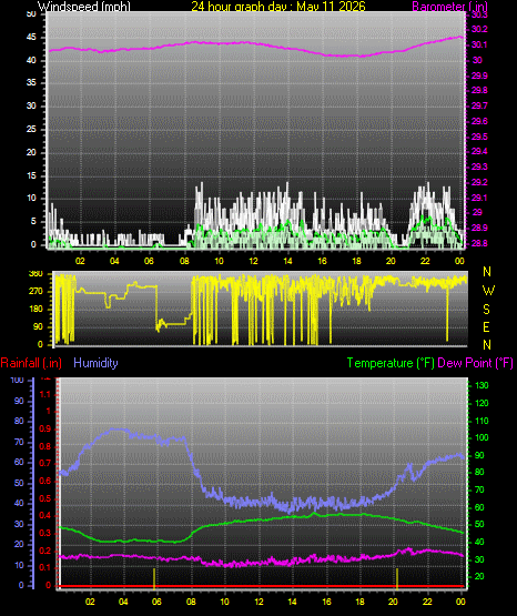 24 Hour Graph for Day 11
