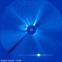 Images of the solar corona